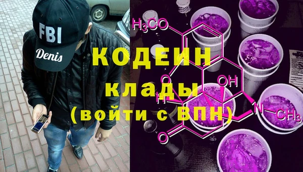 индика Богданович