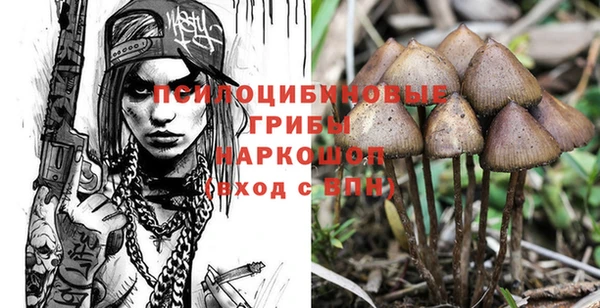 Альфа ПВП Арсеньев