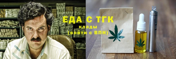 индика Богданович