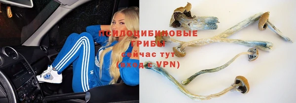 метадон Богородск