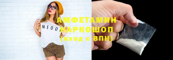 индика Богданович