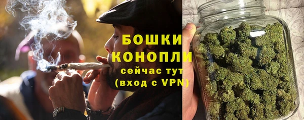 индика Богданович