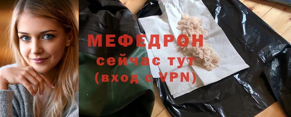 индика Богданович