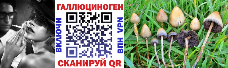 Галлюциногенные грибы Cubensis  Кировск 