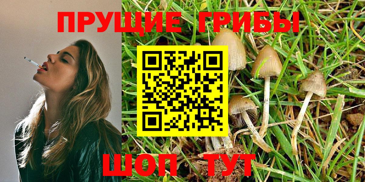 Галлюциногенные грибы Magic Shrooms  Вход с VPN  Кировск 